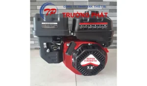 Động cơ xăng máy Kubota