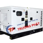 Máy Phát Điện Hyundai 3 Pha 100kva DHY110KSE