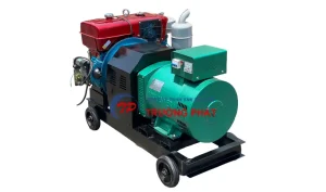 Máy phát điện đầu nổ D10
